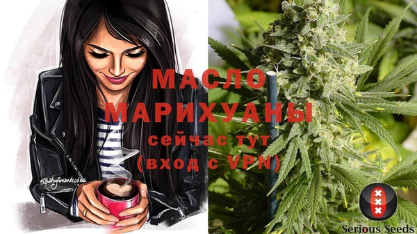 мдпв Осинники