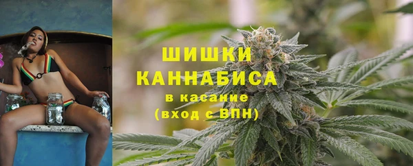 мдпв Осинники