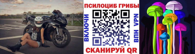 blacksprut tor  Усть-Кут  Псилоцибиновые грибы MAGIC MUSHROOMS 