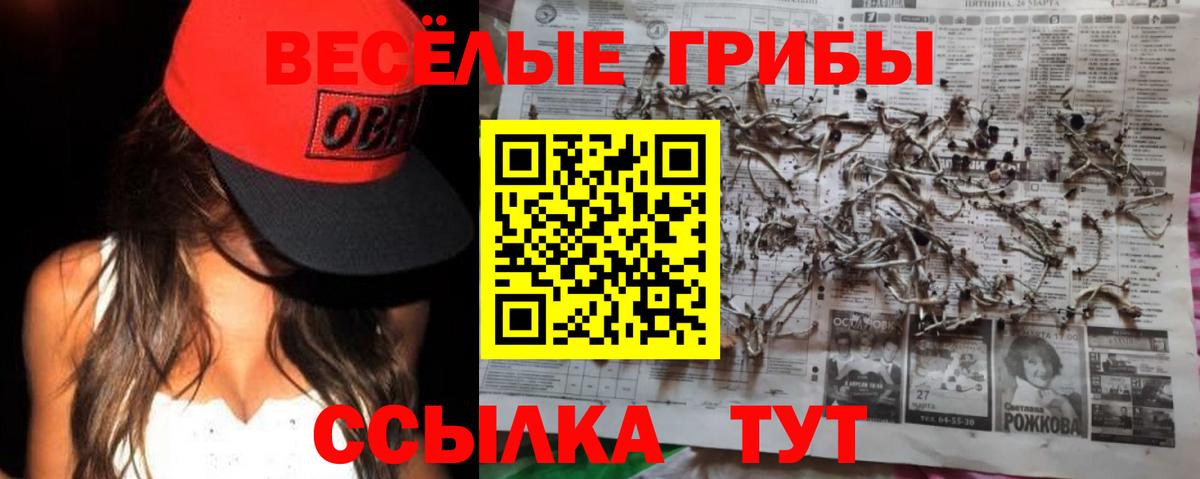 Галлюциногенные грибы Cubensis  Вход с VPN  Усть-Кут 